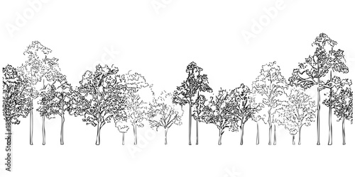 Tree line background. Vector illustration of forest scene with branches. Different kinds of trees drawing. Natural silhouette.