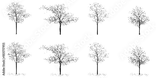 Collection of bare trees sketches with no leaves for nature background design. Forest tree in autumn season isolated. Vector illustration.