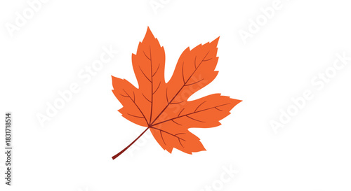Orange maple leaf resting on a clean white background showcases vibrant autumn color and delicate vein patterns while evoking calm seasonal change.