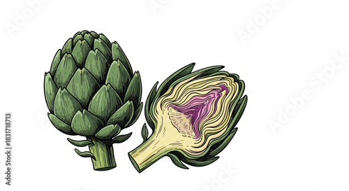 Illustration of a whole artichoke and a half artichoke showing the inside.