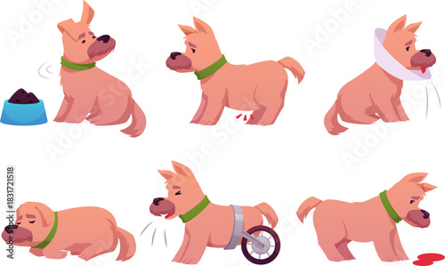 A collection of cartoon sick puppies, refusing food, collar, abdominal pain, blood, and wheels.