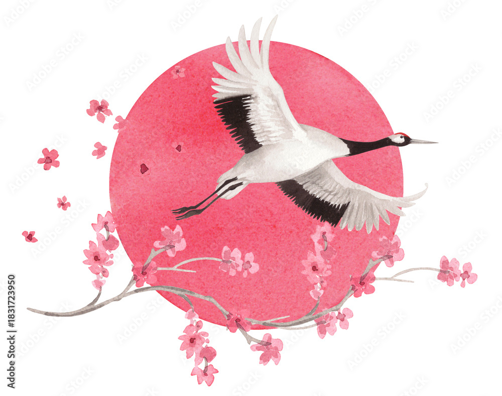 Obraz premium Flyind japanese red crown crane flying on the sun and sakura flowers on background. Watercolor handmade illustration. For fabric, wallpaper, greeting cards, design, decoration and illustration.