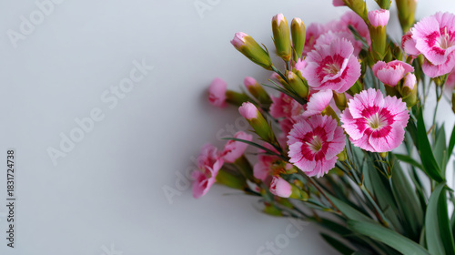 Wallpaper Mural Pink flowers arranged on a clean white background for a fresh, delicate aesthetic. Torontodigital.ca