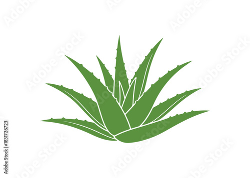 Aloe Vera leaves depicted as a green cartoon flat vector icon.
