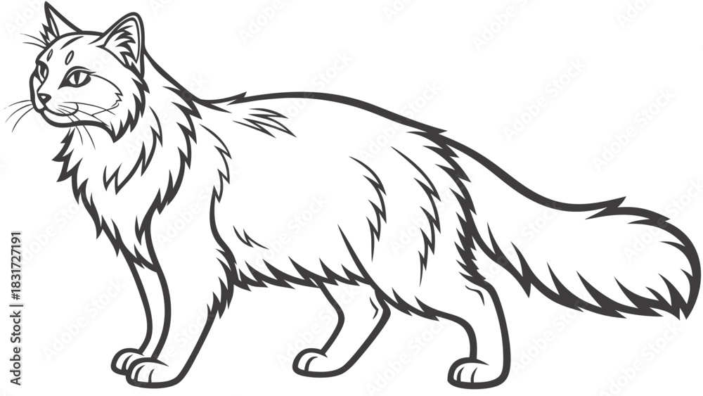 Fototapeta premium Outlined illustration of a long haired cat standing in a side profile with a fluffy tail