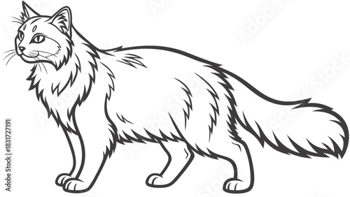 Outlined illustration of a long haired cat standing in a side profile with a fluffy tail