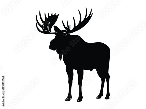 Silhouette of a majestic moose with large impressive antlers displayed