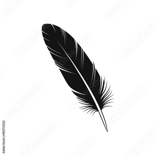A single black feather isolated on a clean white background