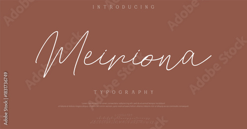 Hand drawn mono line font lowercase and uppercase. Calligraphy decorative ABC alphabet isolated. Hand lettering and custom typography for your designs, logo, poster, card. Vector typeface.