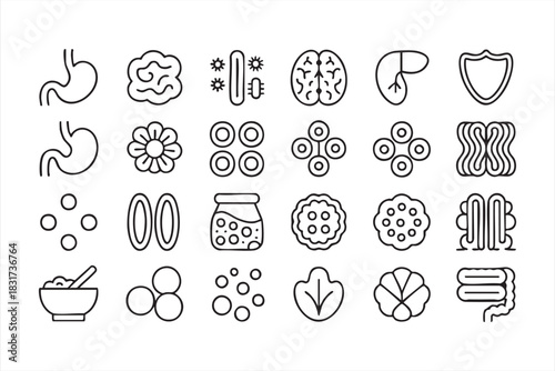 Digestive System and Microbiome Line Icons for Medical Wellness and Anatomy Graphics