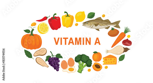 Educational illustration showing an oval arrangement of various foods rich in vitamin A like carrots fish eggs and pumpkin.