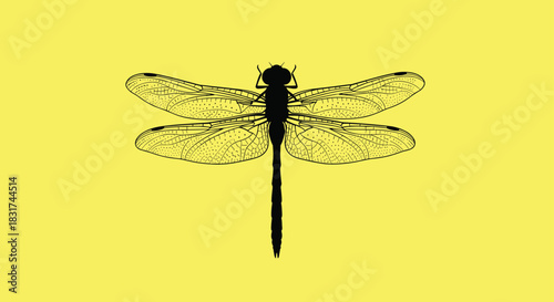 Detailed black silhouette of a dragonfly with intricate wing patterns presented on a solid bright yellow background.