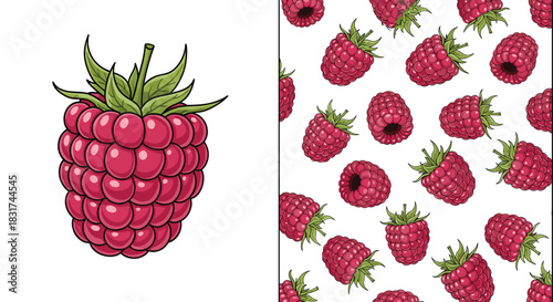 Set of a single detailed raspberry illustration and a seamless pattern of the same fruit for backgrounds and textiles.