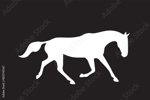 Elegant white horse walking gracefully on a black background creating a striking visual contrast