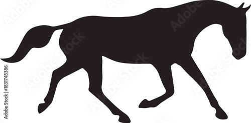 Horse silhouette trotting gracefully across a plain in the early evening light