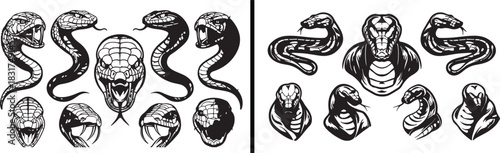 Snake illustration set, serpent drawing art, reptile animal vector, dangerous snake artwork, wildlife snake design, black and white serpent clipart, coiled snake figure, jungle reptile symbol, venomou