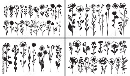 Botanical flower drawing, floral vector design, hand drawn flower clipart, natural plant illustration, aesthetic floral artwork, blooming garden sketch, spring flower decor, botanical outline art, dec