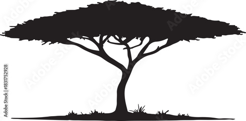 Classic African savanna acacia tree silhouette with flat top canopy design