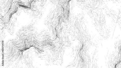 Black and white topographic contour lines forming abstract landscape pattern topography