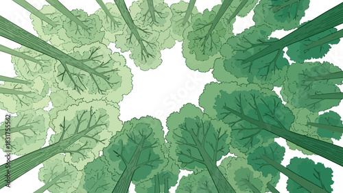 Looking up into a canopy of green trees in a forest from a low angle