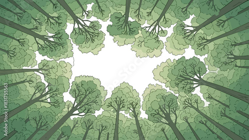 Peaceful forest scene looking up at the tree canopy, nature background illustration