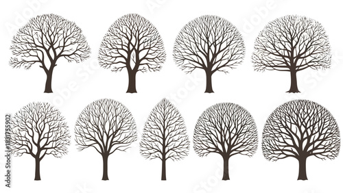A diverse collection of bare tree silhouettes with intricate branching structures, isolated vector graphic set for seasonal design concepts