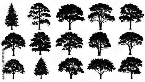 Diverse collection of black tree silhouettes, featuring various species and shapes, ideal for natural landscape designs, forest themes, and environmental concepts