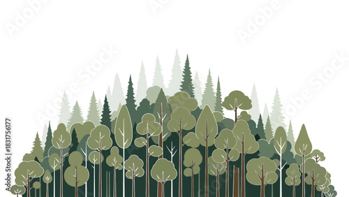 Forest Illustration A Diverse Canopy of Trees in Shades of Green