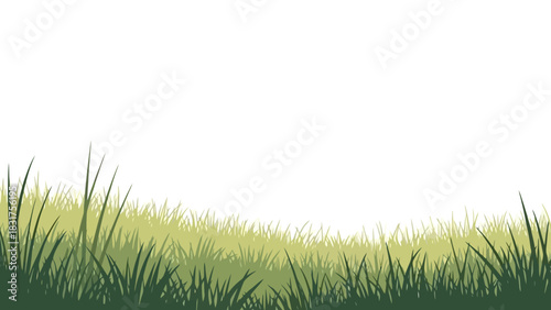 Vector illustration of a lush green grass field border isolated on a white background for nature-themed designs