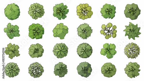 Top-Down View of Various Trees A Collection of Green Foliage Illustrations