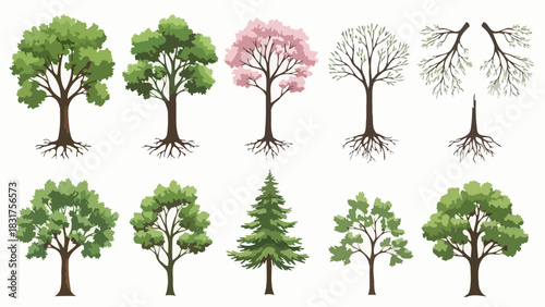 Collection of diverse trees in various stages of growth and seasons, showcasing roots and branches