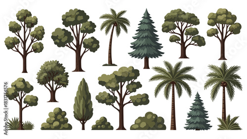 Variety of Trees Illustration of Diverse Forest Vegetation