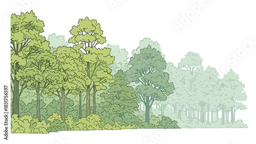 Vibrant Green Forest Landscape Illustration Featuring a Detailed Tree Line and Diverse Foliage, Capturing the Serene Beauty of Woodland Nature