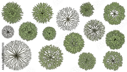 A versatile set of top view illustrated trees, showcasing diverse foliage and branch patterns, ideal for architectural renderings, landscape planning, and urban design layouts