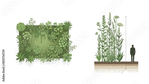 Green Space Design Overhead and Side Views of Dense Vegetation with a Person for Scale