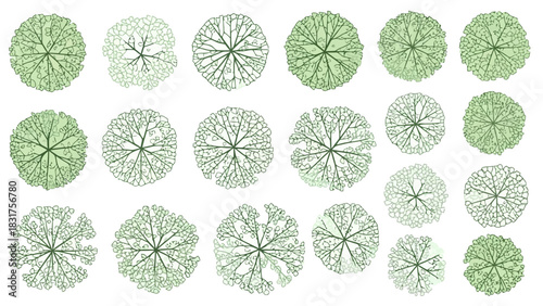 Top-Down View of Several Green Trees in a Grid Pattern on a White Background