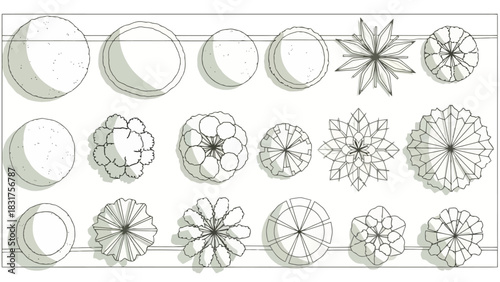 Illustrated Top-Down View of Diverse Tree Canopies for Architectural and Landscape Design