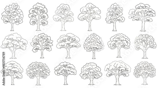 Collection of Line Art Tree Illustrations Diverse Tree Designs for Creative Projects