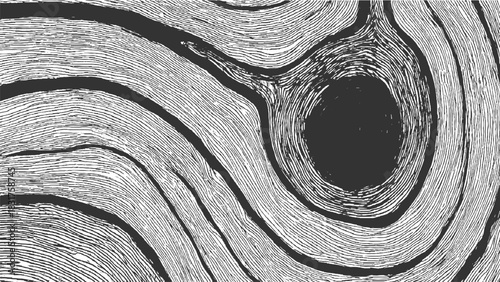 Black and white wood grain texture with dark knot detail background natural