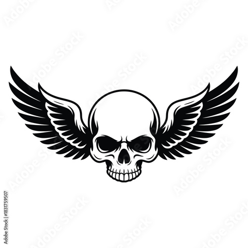 Black and white graphic illustration of a human skull with large feathered wings spread wide