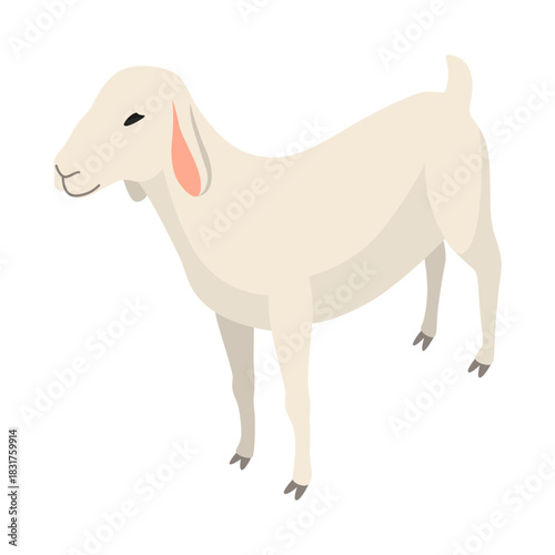 Farm animal isometric. Domestic animal in 3d flat back and front view. Cute game character of sheep. Vector icon