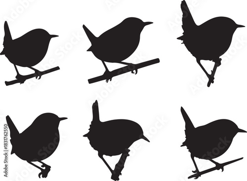 Wren Bird Silhouette Vector Set on a Branch - Small Songbird Icons