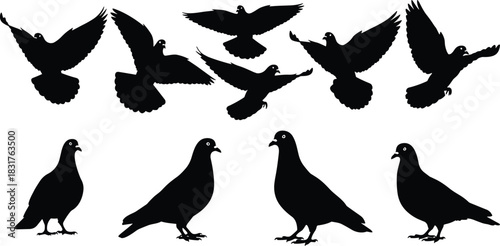 Black silhouette vector illustration set of bears in various walking poses, wildlife animal graphic collection, suitable for logo design, isolated on white.