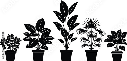 Black silhouette vector set of various tropical potted houseplants, including palm and broad-leaf plants, interior decor graphic collection, isolated on white.