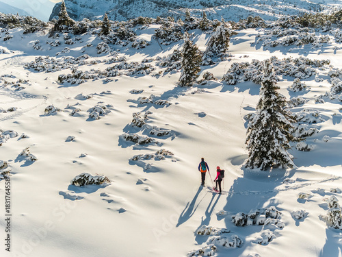 Two people snowshoeing through a snowy landscape with trees. Paganella, Roda refuge,Trentino, Italy