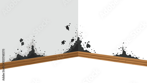 Homeowners tackling dangerous mold growth around baseboards and corners for clean fresh living and healthy indoor air quality