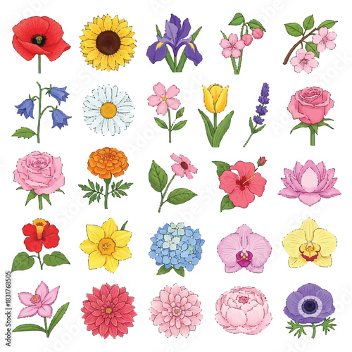 Detailed and brightly colorful collection of eighteen diverse flower species, presented in a modern flat 2D vector style illustration and clearly isolated on a pristine white background.