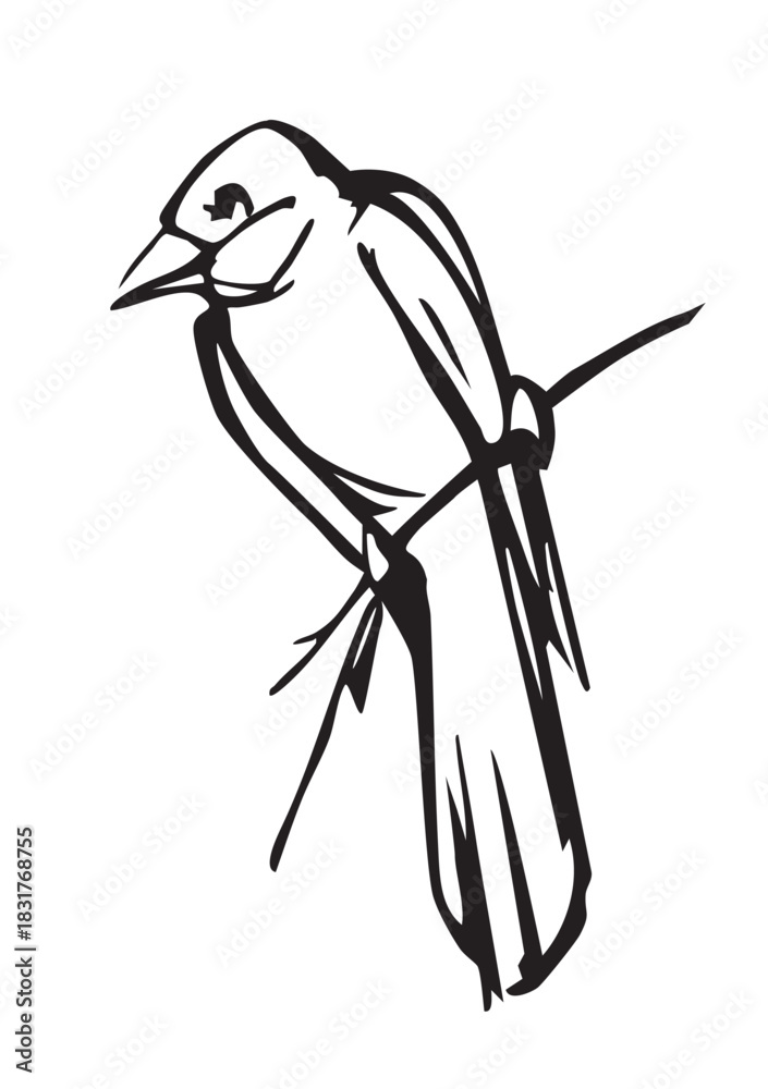 Fototapeta premium Vector drawing. Bird on white sky backdrop.