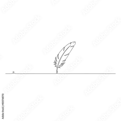 Minimalist page separator with a single line drawing of a feather quill