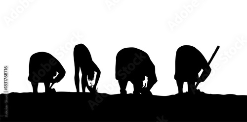 Vector drawing. A gardener weeding a garden